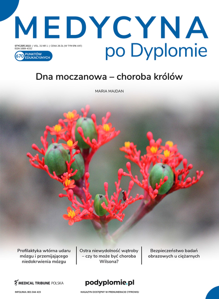 Mpd 01 2022 ok%c5%82adka elektroniczna 1