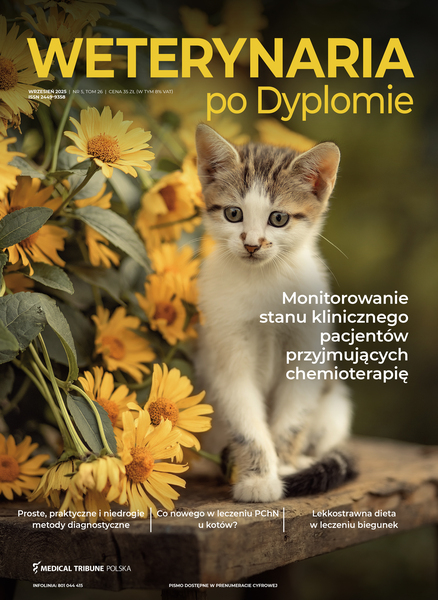 Wpd 05 2025 okladka elektro