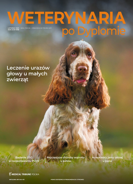 Wpd 06 2025 okladka elektro