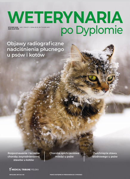 Wpd 01 2026 okladka elektro