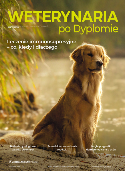 Wpd 02 2026 okladka elektro