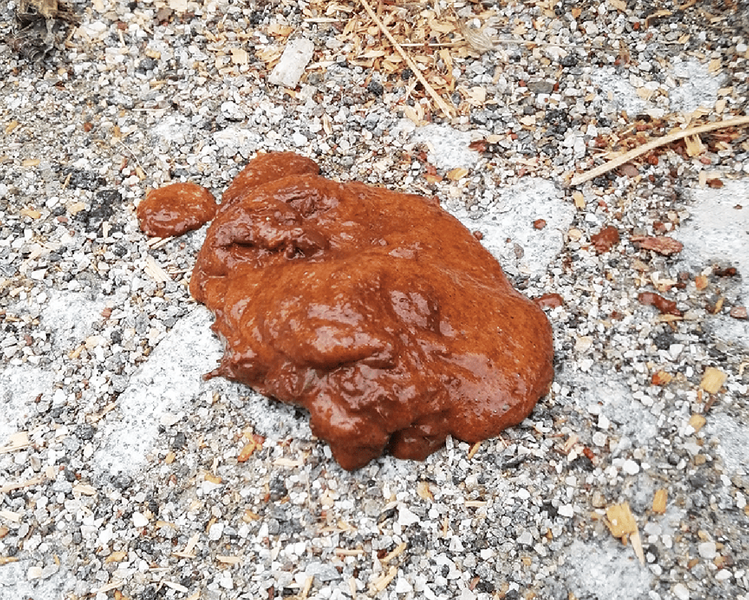 Medium fritz ryc2 opt