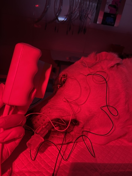 Medium algorytm ryc5