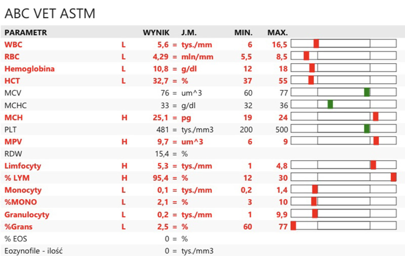 Medium kiedy ryc6 opt
