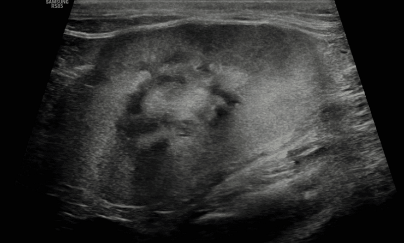 Medium huguet ryc7 opt