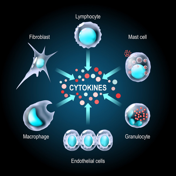 Medium bialka ryc2 opt