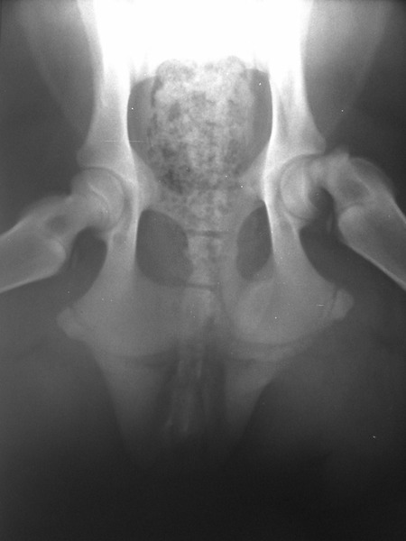 Medium obrazowanie ryc12 opt