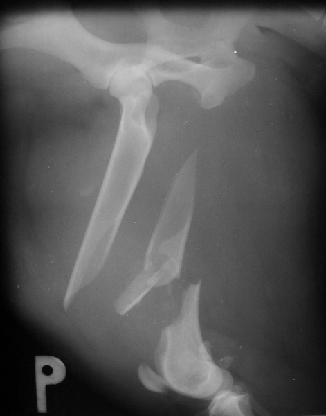 Medium obrazowanie ryc3 opt