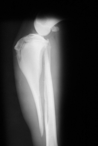 Medium obrazowanie ryc5 opt