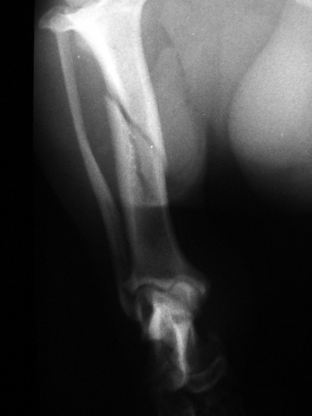 Medium obrazowanie ryc6 opt
