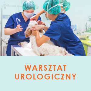 20.03.2020 (14:00-18:00) - Warsztat nefrologiczno-urologiczny - dr n.wet. Agnieszka Sikorska-Kopyłowicz