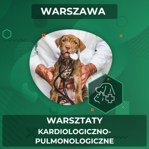 Warsztaty kardiologiczno-pulmonologiczne (15.03.2025, 16:30-18:30)