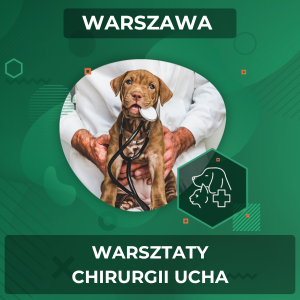 Warsztaty chirurgii ucha (14.03.2025, 13:00-16:00)