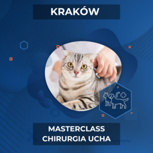 Masterclass CHIRURGIA UCHA (20.09.2025, 9:45-11:45)