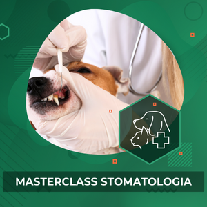Masterclass STOMATOLOGIA (15.03.2026, 14:00-17:00)