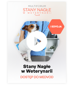 Multiforum Stany Nagłe w Weterynarii 2026 - dostęp do wykładów z kongresu
