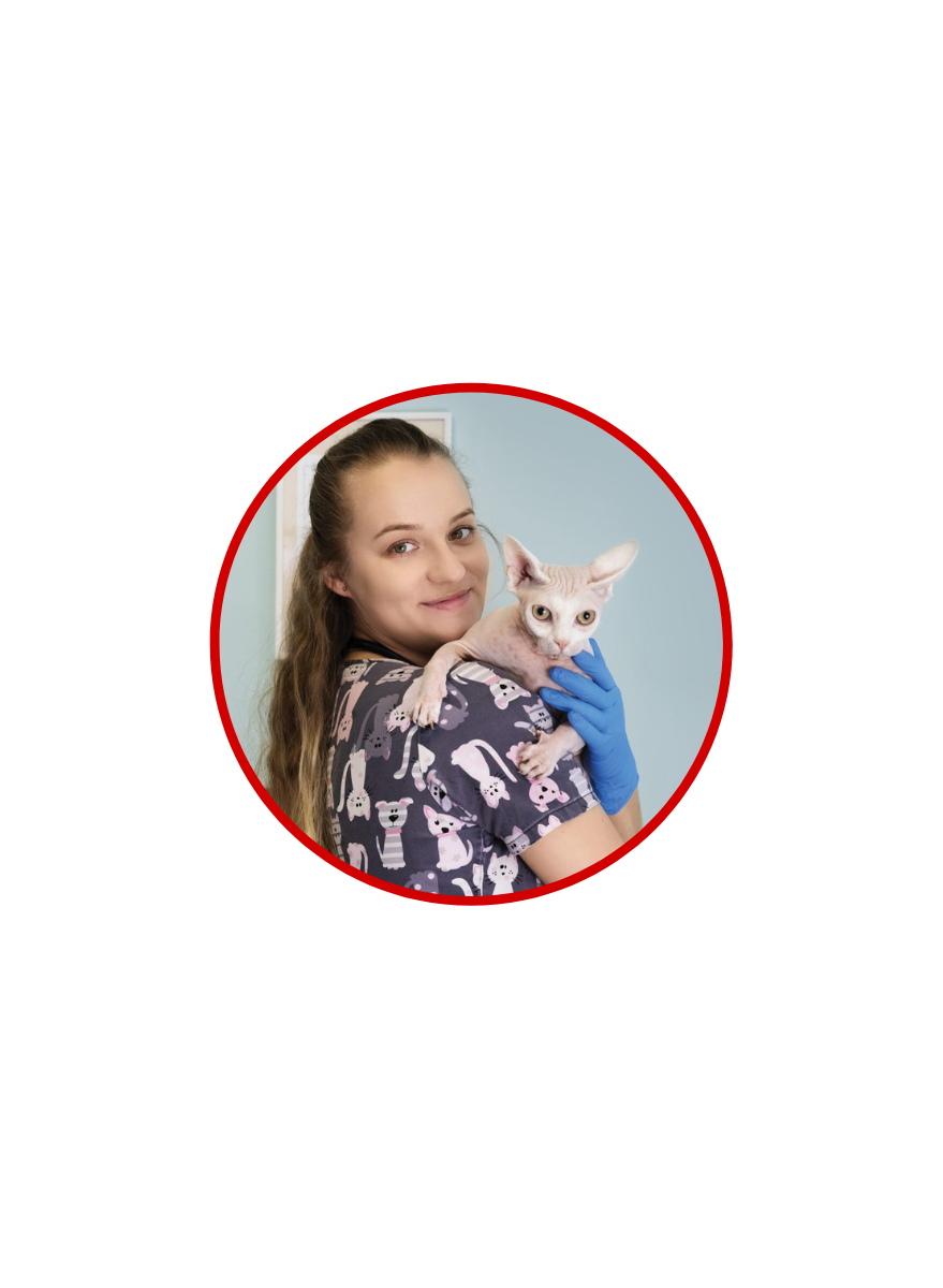 Prelegenci fotki na magwet%2813%29